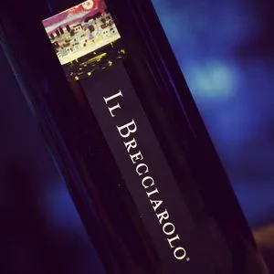 Il Brecciarolo 2011_300