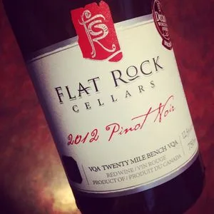 Flat Rock Cellars Pinot Noir Twenty Mile Bench 2012_300