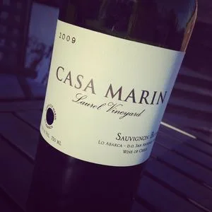 Casa Marin Laurel Vineyard Sauvignon Blanc San Antonio Valley 2009_2