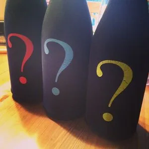 Pinot Noir blind tasting_2_300