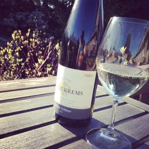 Weingut Stadt Krems Grüner Veltliner Kremstal Austria 2014_2_300