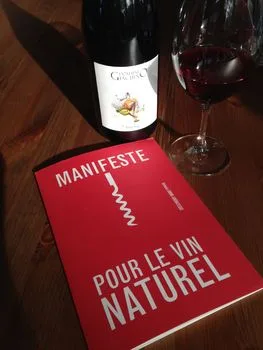 Domaine Giachino Gamay Savoie 2013 2
