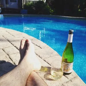 Domaine Henri Naudin Ferrand Bourgogne Aligoté 2013_2
