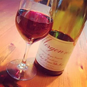 Jean Foillard Morgon 2013_300