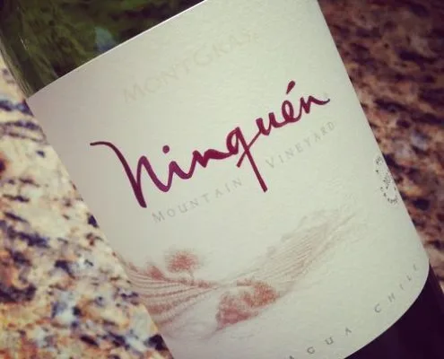 Vina Mongras Ninquen Colchagua Valley 2013