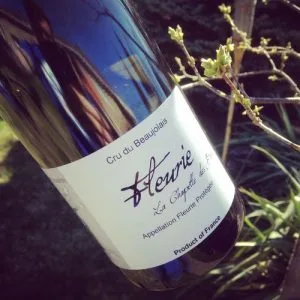 Domaine Chasselay Fleurie La Chapelle des Bois 2014