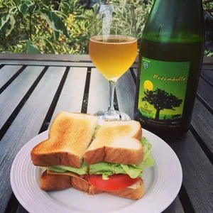 Clos Saragnat Préambulle