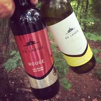 Domaine de Lavoie_200