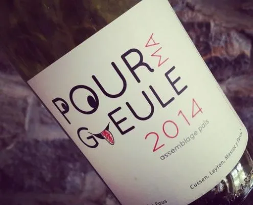 Clos des Fous Pour ma Gueule Del Sur Itata 2014