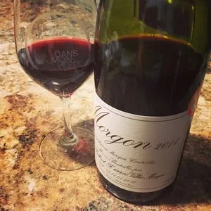 Jean Foillard Morgon 2014
