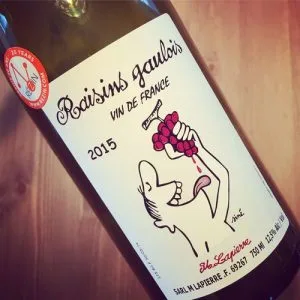 Domaine Marcel Lapierre Raisins Gaulois 2015