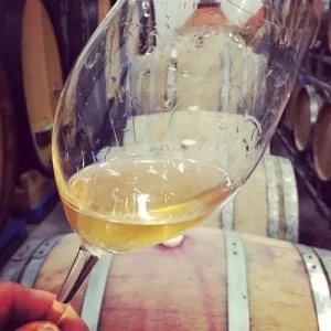 Pearl Morissette - vin orange