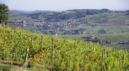 Domaine de Fa Beaujolais