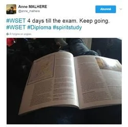 Anne Malhere - Études du WSET
