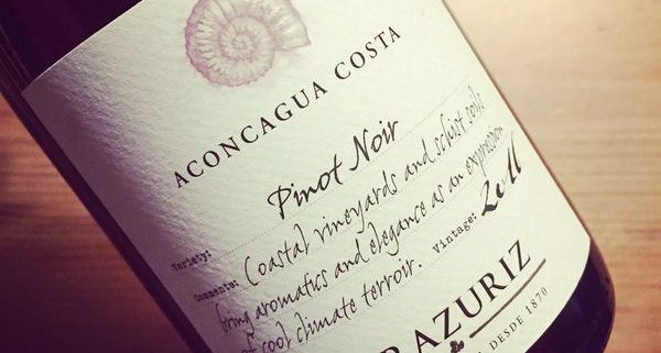 Errazuriz Aconcagua Costa Pinot Noir 2016