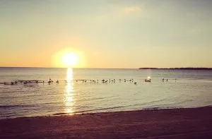 Prince Edward County