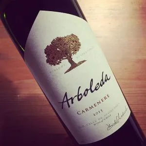 Arboleda Carmenere Aconcagua 2015