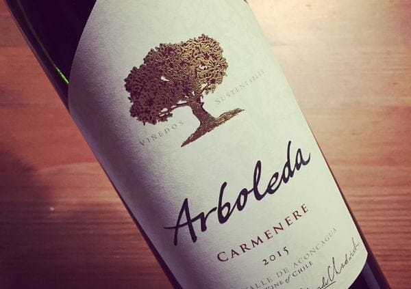 Arboleda Carmenere Aconcagua 2015