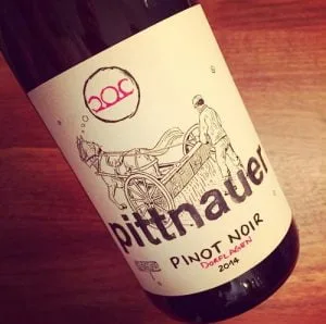Weingut Pittnauer Pinot Noir Dorflagen 2014