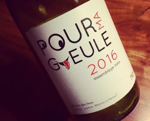 Clos des Fous Pour Ma Gueule Valle del Itata 2016