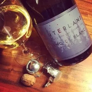 Hinterland Blanc de Blanc Method Traditional VQA Prince Edward County 2011