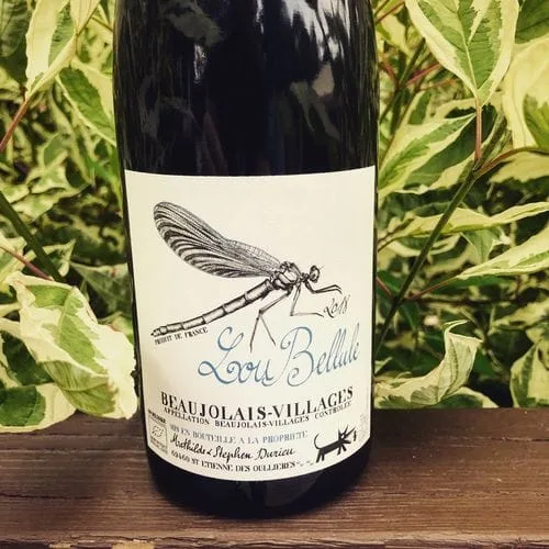 Mathilde et Stephen Durieu Lou Bellule Beaujolais-Villages 2018
