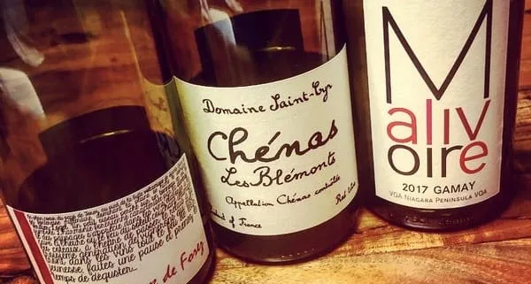 Qu'est-ce qu'on boit? Du gamay!