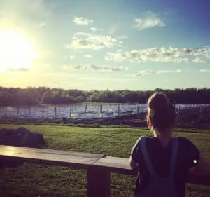 Mes musts à visiter à Prince Edward County