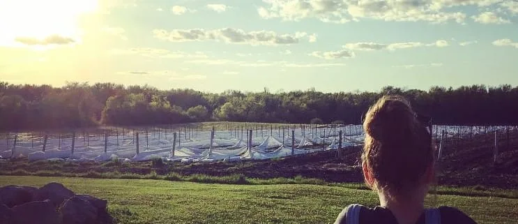 Mes musts à visiter à Prince Edward County