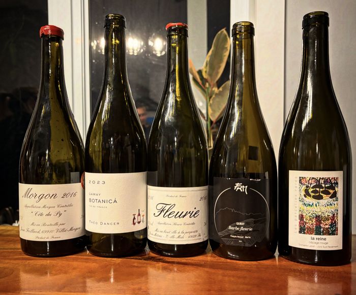 Dégustation de gamay