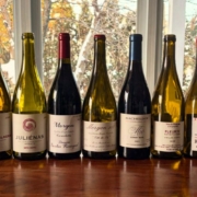 Top 10 gamay 2025