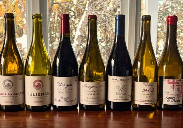 Top 10 gamay 2025
